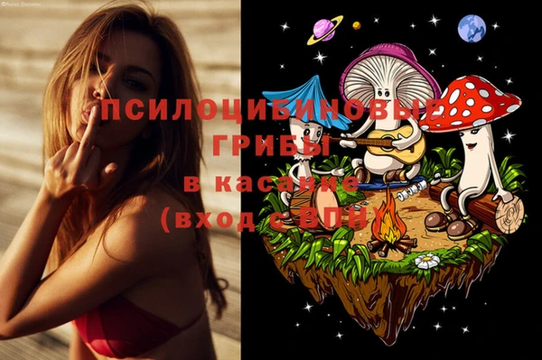 гидра Балахна