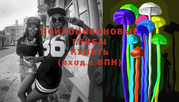 гидра Балахна