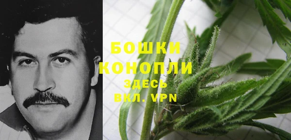 гидра Балахна
